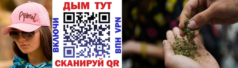 Как найти закладки Жердевка ГАШИШ МАРИХУАНА Лсд 25 Меф КОКАИН Alpha PVP