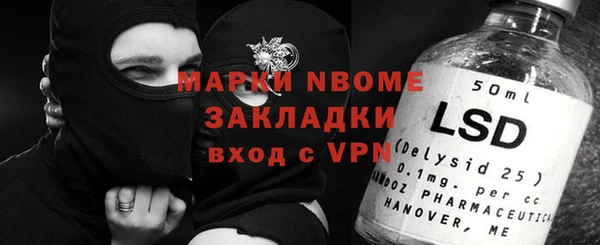 PSILOCYBIN Алзамай
