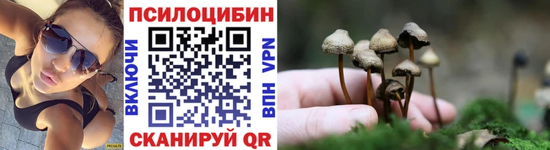 Псилоцибиновые грибы мухоморы  OMG вход  Жердевка 