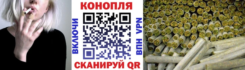 Конопля SATIVA & INDICA  Жердевка 
